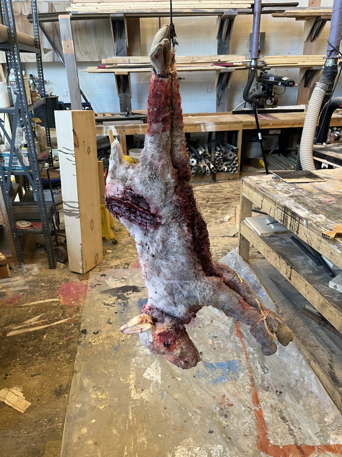 The finished lamb carcass hanging in the scene shop