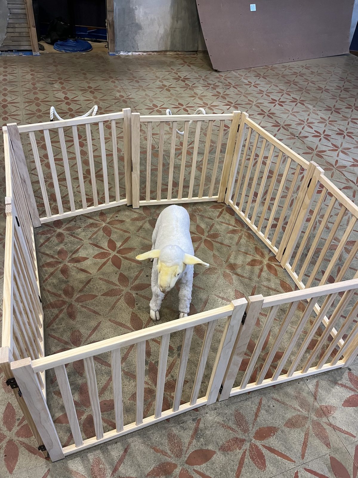 The slatted wooden pen built for the live lamb, with the lamb inside