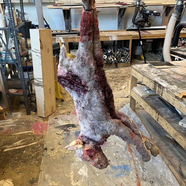 The lamb carcass - Curse of the Starving Class