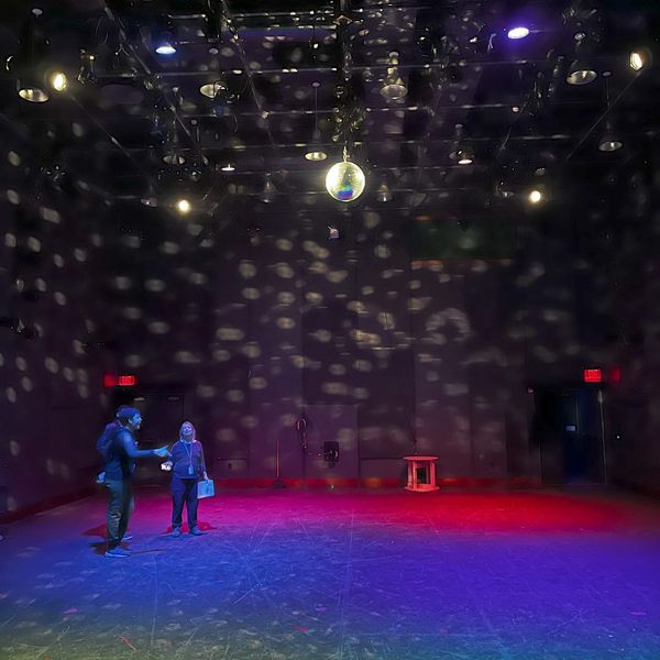 Disco ball installation - The Donkey Show